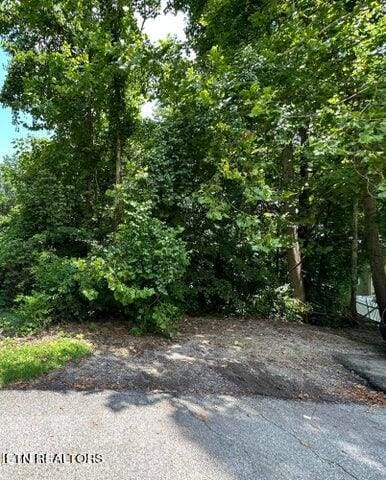 Listing photo 2 for Rosemont Ln, Harriman TN 37748