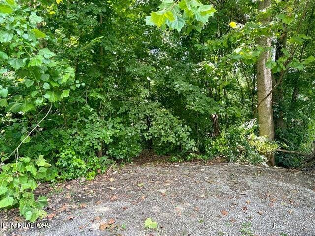 Listing photo 3 for Rosemont Ln, Harriman TN 37748