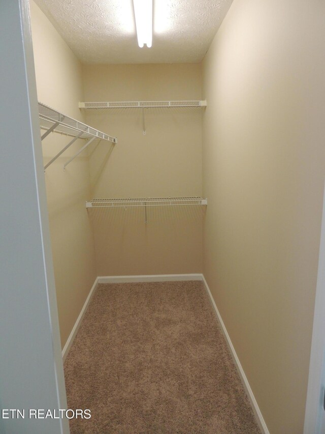1432 Pheasants Glen Dr, Knoxville, TN 37923 - spacious closet with carpet