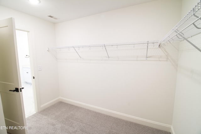 spacious closet featuring light carpet