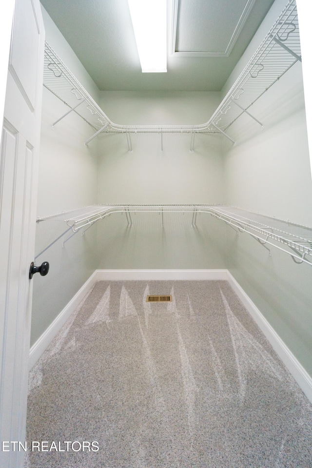 spacious closet with carpet