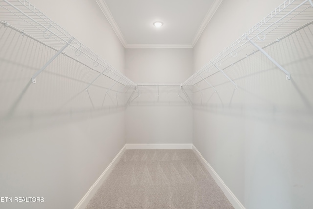 spacious closet with carpet