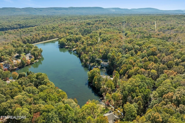 bird's eye view featuring a water and mountain view