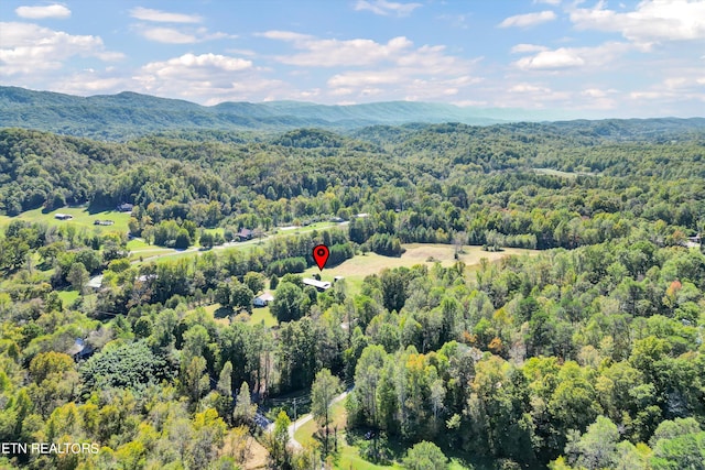 birds eye view of property featuring a mountain view