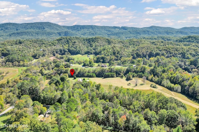 birds eye view of property with a mountain view