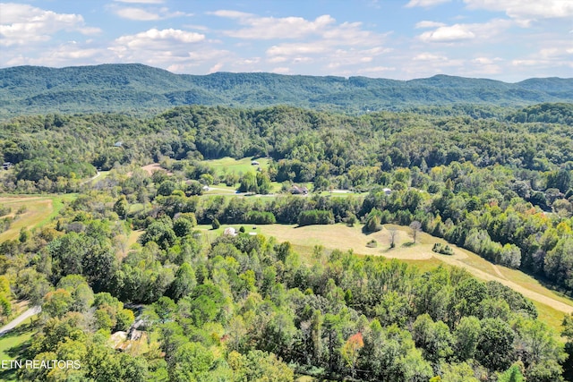 drone / aerial view with a mountain view