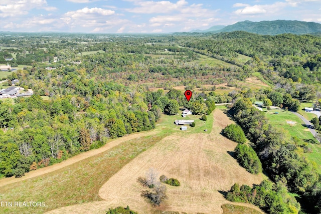 drone / aerial view featuring a mountain view