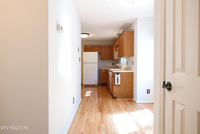 kitchen with white refrigerator, light hardwood / wood-style floors, and sink