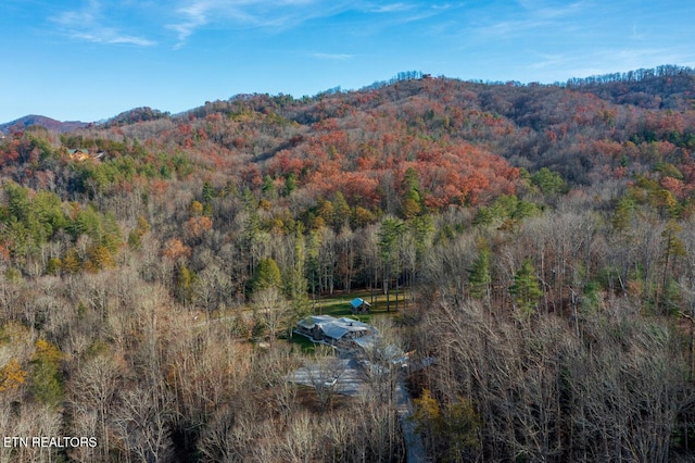 view of mountain feature featuring a forest view