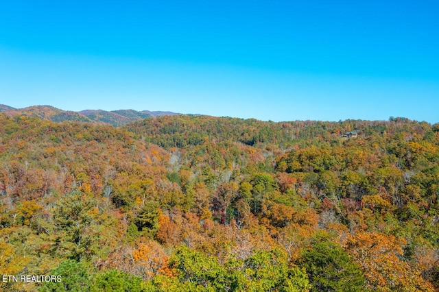 mountain view with a view of trees
