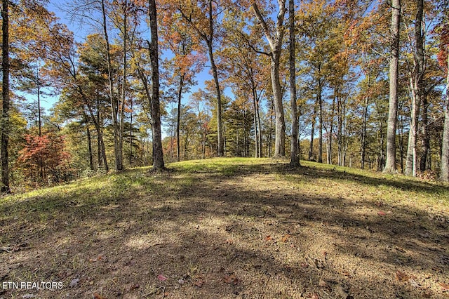 view of nature featuring a forest view