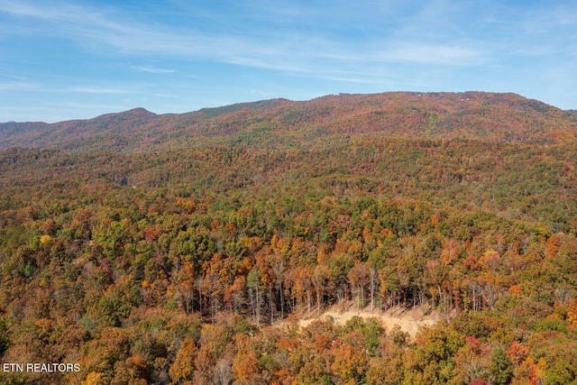 property view of mountains featuring a forest view