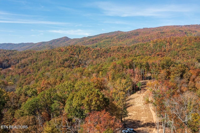 mountain view featuring a forest view