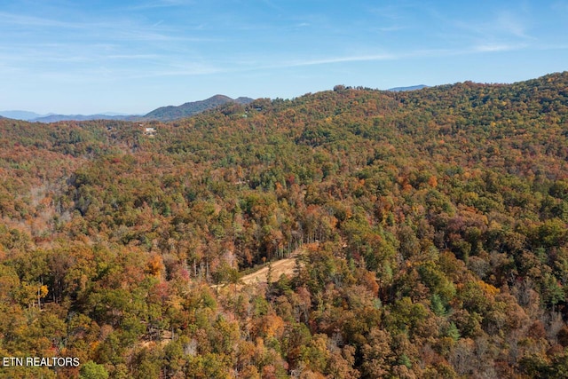 mountain view featuring a wooded view