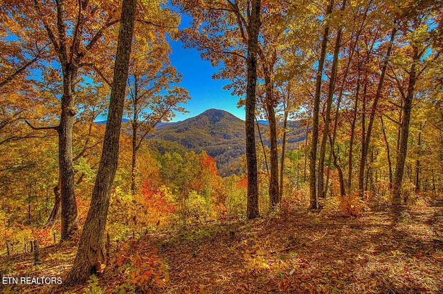 view of mountain feature with a wooded view