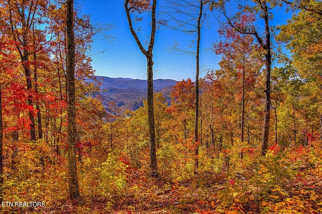 view of mountain feature featuring a forest view