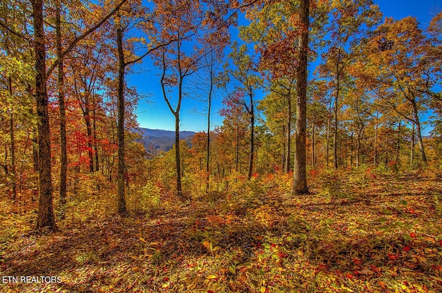property view of mountains with a view of trees