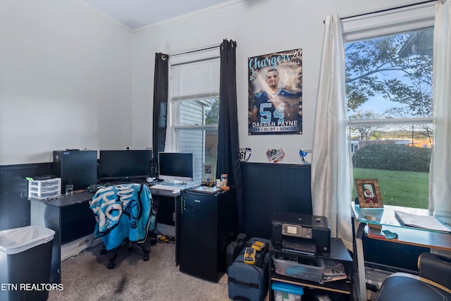 carpeted office space with ornamental molding