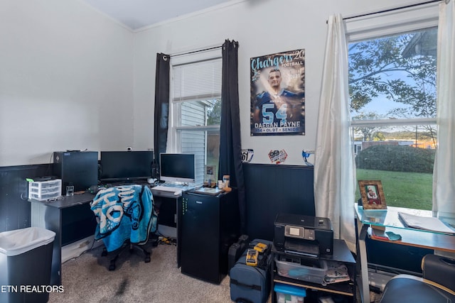office space featuring carpet floors, wooden walls, crown molding, and wainscoting