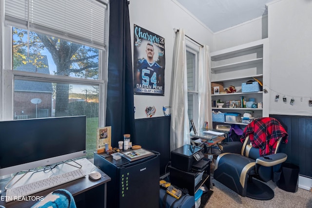 office featuring carpet flooring and ornamental molding
