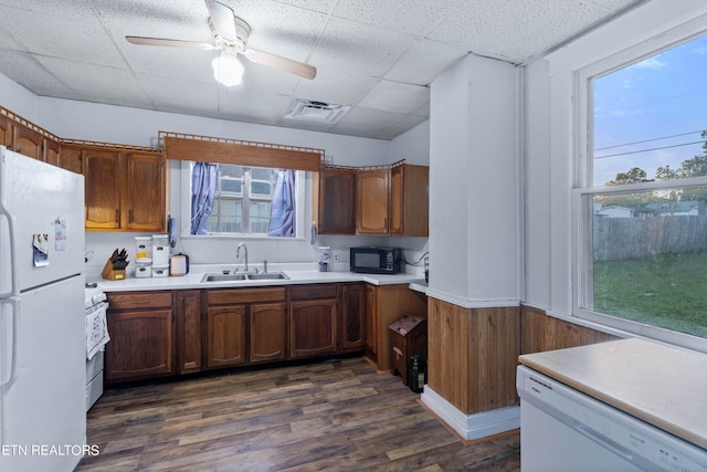 kitchen featuring ceiling fan, white appliances, sink, wooden walls, and dark hardwood / wood-style floors