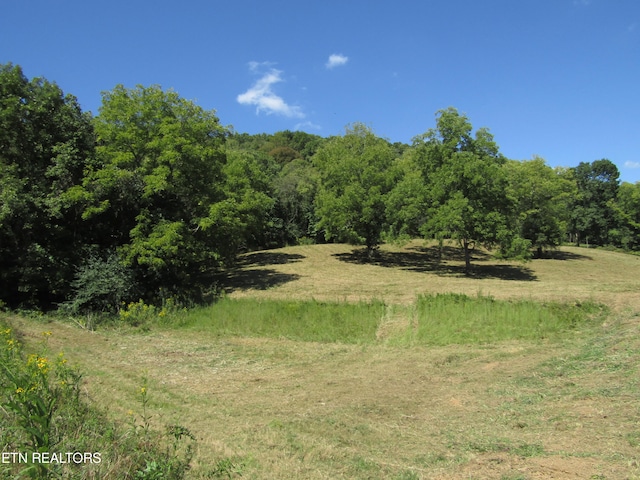 14AC Hartsville Rd, Lafayette TN, 37083 land for sale