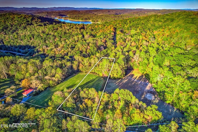 Ridge Circle Rd, Andersonville TN, 37705 land for sale