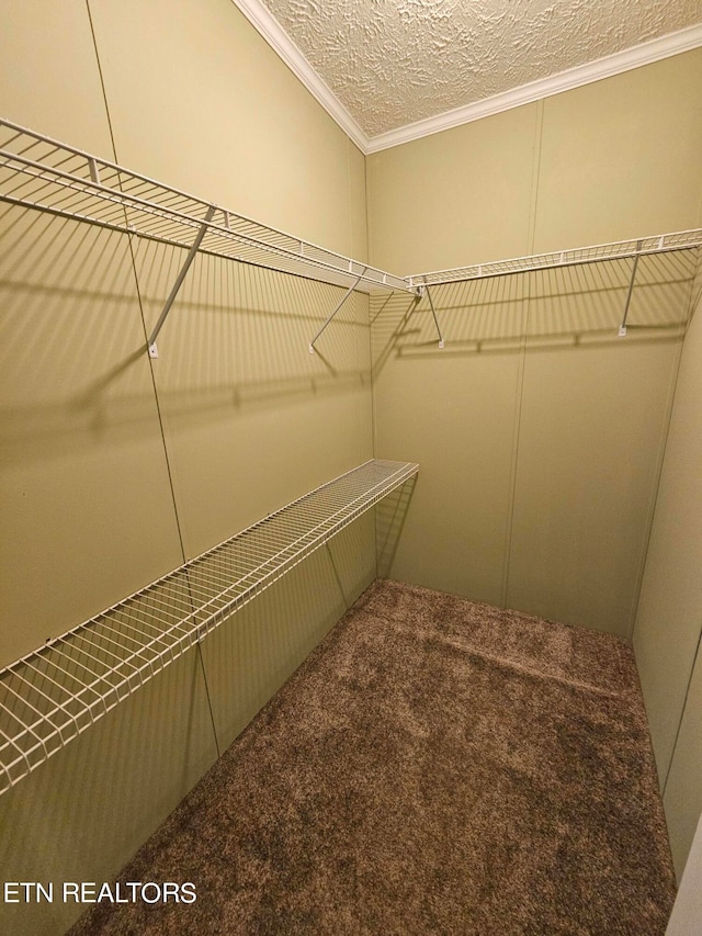 walk in closet featuring carpet flooring