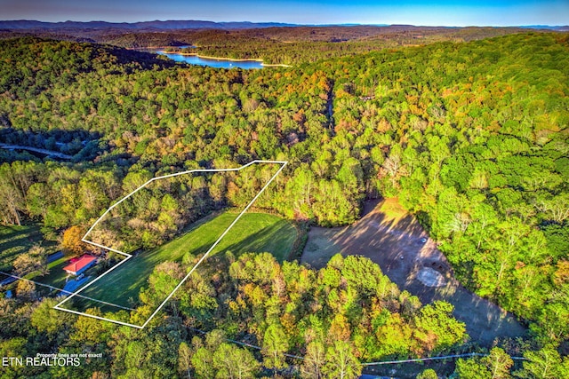 0 Ridge Circle Rd, Andersonville, TN 37705