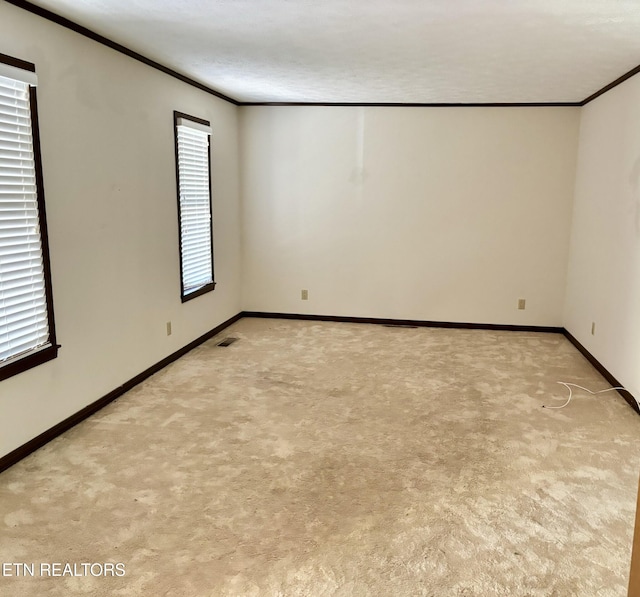 carpeted empty room featuring a textured ceiling and crown molding