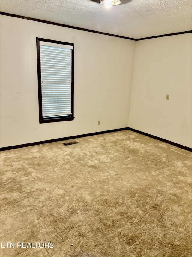 spare room featuring carpet floors and a textured ceiling