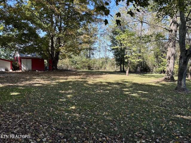 view of yard with a storage unit