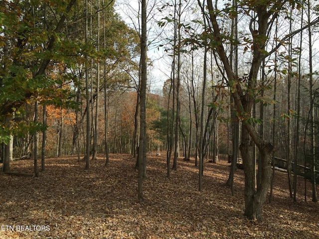 Listing photo 3 for 3265 Leatherwood Ford Rd, Jamestown TN 38556