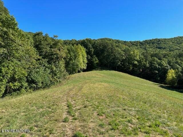 1585 Neddy Mountain Rd, Del Rio TN, 37727 land for sale