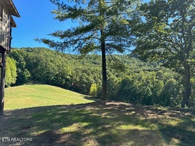 Listing photo 3 for 1585 Neddy Mountain Rd, Del Rio TN 37727