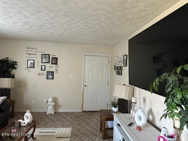 carpeted living room with a textured ceiling