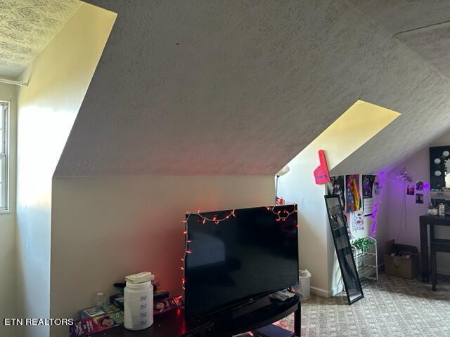 bonus room with vaulted ceiling, carpet, and a textured ceiling