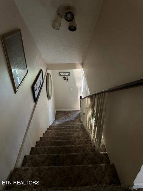 staircase featuring carpet floors and vaulted ceiling