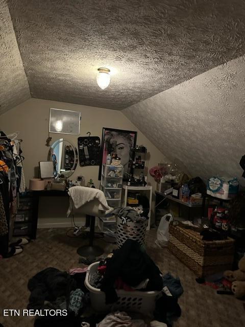 additional living space featuring lofted ceiling, carpet floors, and a textured ceiling