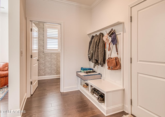 mudroom with dark hardwood / wood-style floors and crown molding