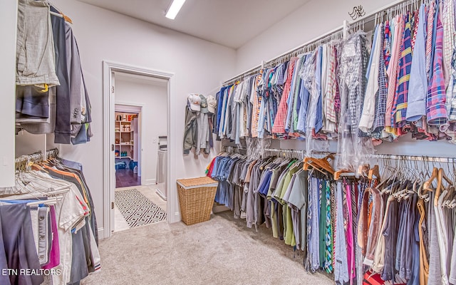 walk in closet with carpet