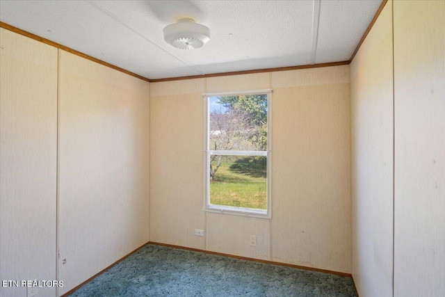 carpeted spare room with a textured ceiling