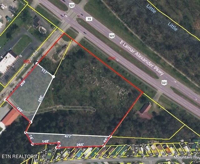 7062 E Lamar Alexander Pkwy, Townsend TN, 37882 land for sale