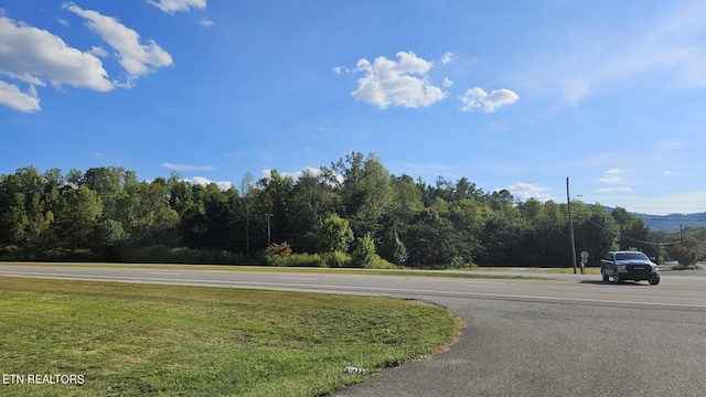 7062 E Lamar Alexander Pkwy, Townsend, TN 37882