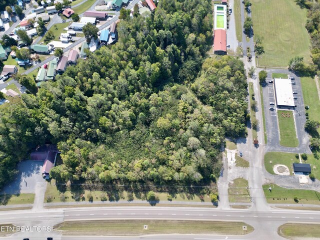 7062 E Lamar Alexander Pkwy, Townsend, TN 37882