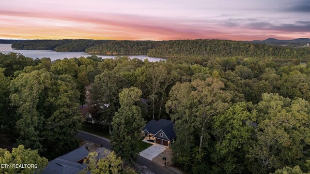 aerial view at dusk featuring a water view