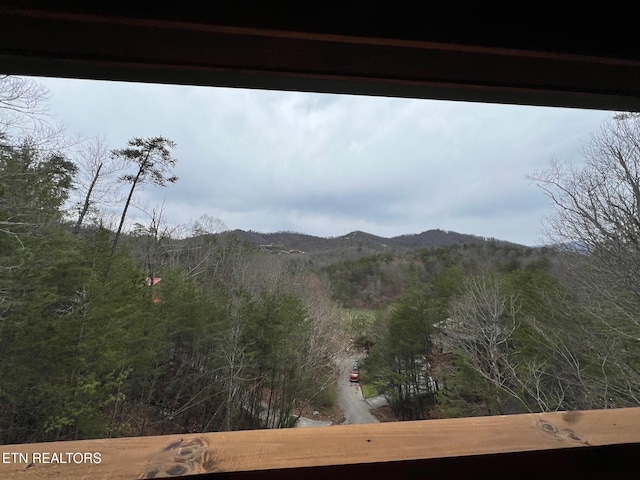 property view of mountains