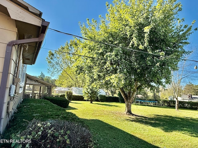 view of yard featuring a trampoline