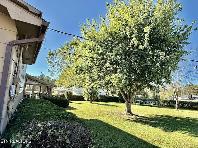 view of yard featuring a trampoline