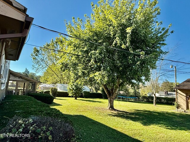 view of yard featuring a trampoline